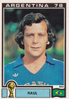 258. RAUL - BRASIL