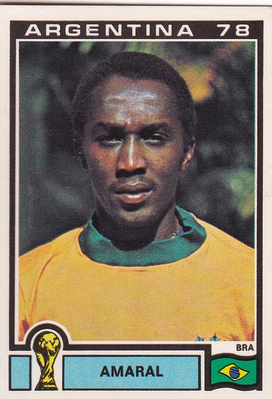 247. AMARAL - BRASIL