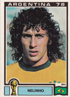 245. NELINHO - BRASIL