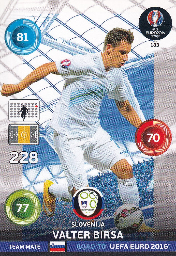 183. VALTER BIRSA - SLOVENIJA