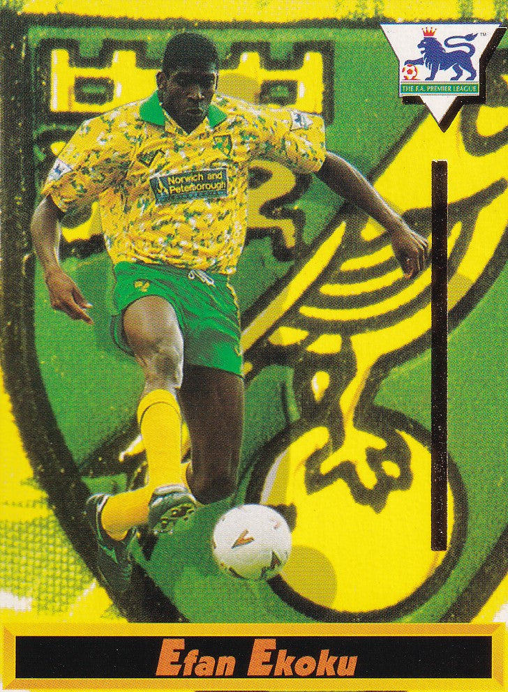 073. EFAN EKOKU - NORWICH CITY