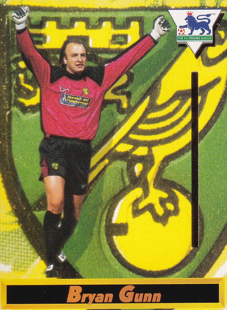 068. BRYAN GUNN - NORWICH CITY