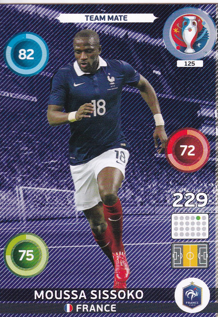 125. MOUSSA SISSOKO - FRANCE