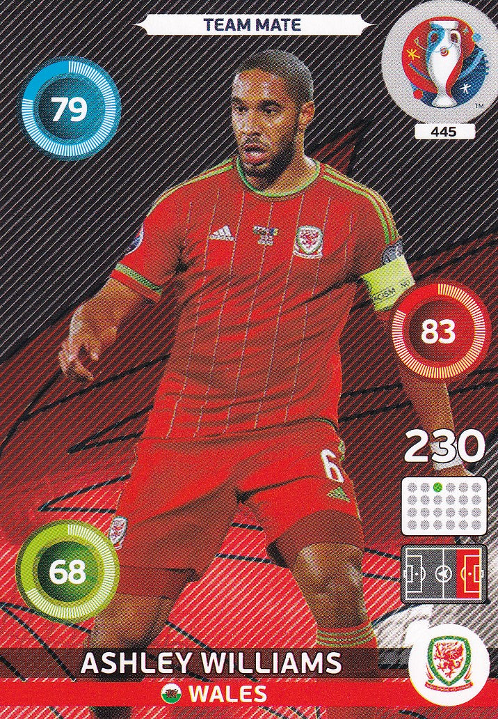 445. ASHLEY WILLIAMS - WALES