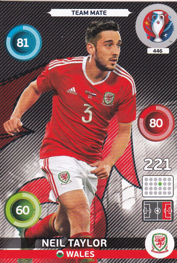 446. NEIL TAYLOR - WALES