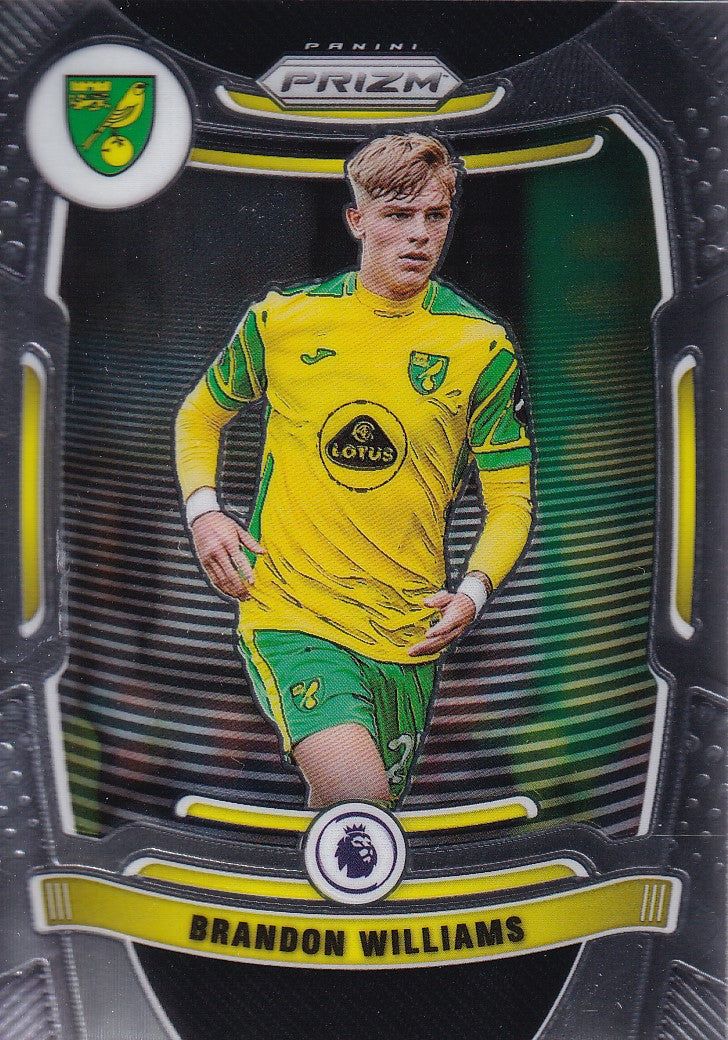 171. BRANDON WILLIAMS - NORWICH CITY