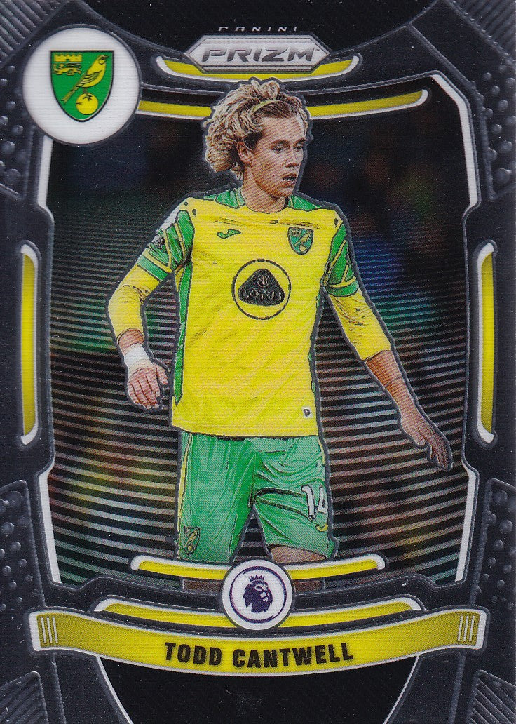 175. TODD CANTWELL - NORWICH CITY