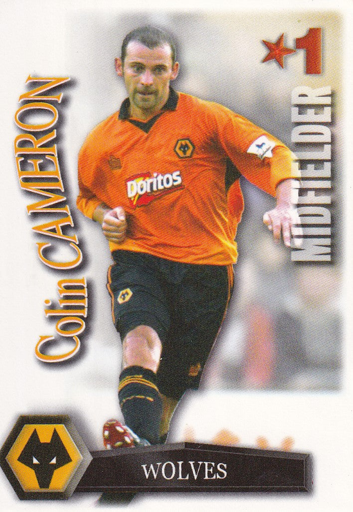 348. COLIN CAMERON - WOLVES