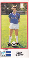 096. KEVIN SHEEDY - EVERTON