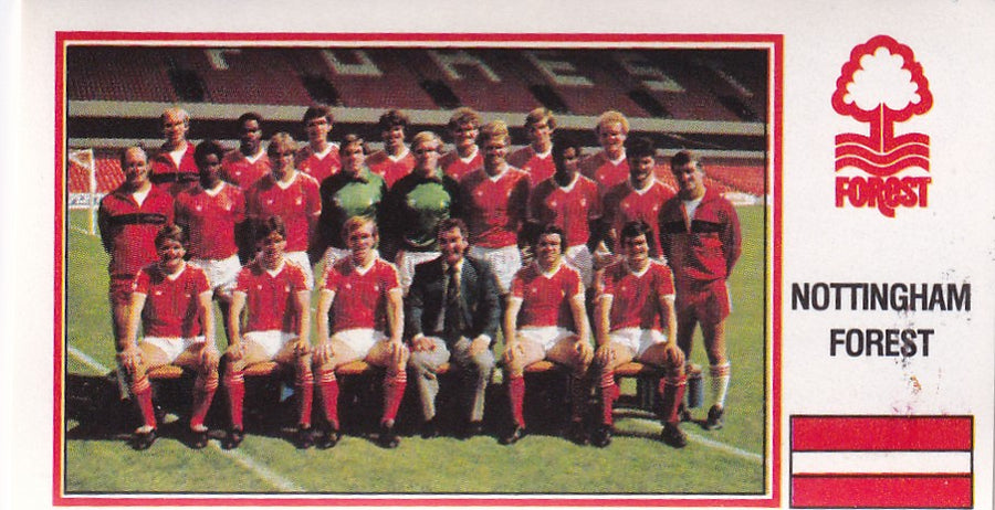 197. NOTTINGHAM FOREST - TEAM PHOTO