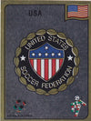 095. USA - NATIONAL TEAM BADGE