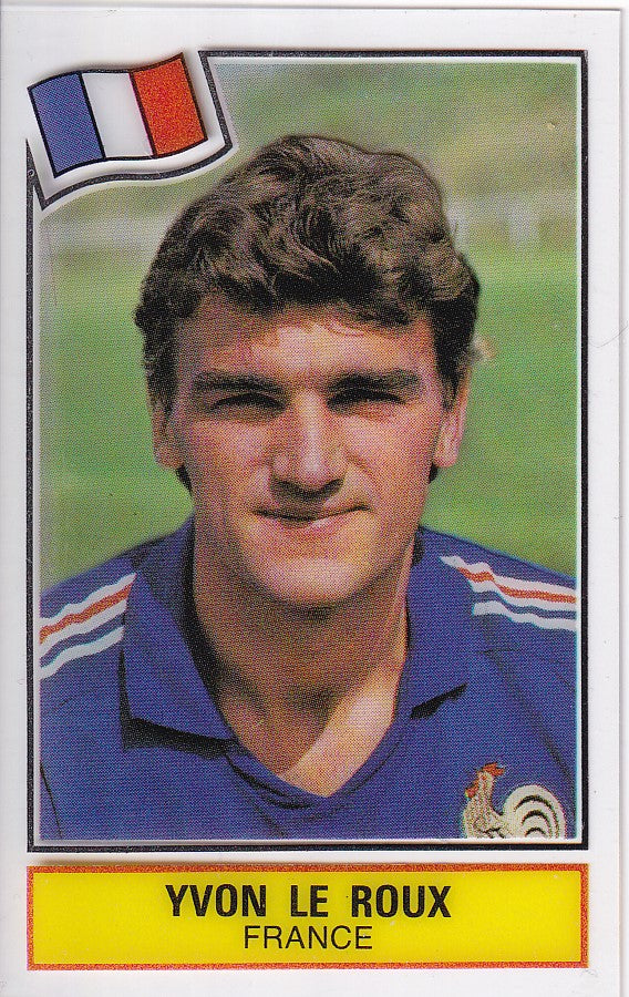 FRANCE - YVON LE ROUX