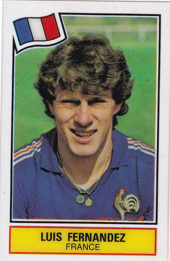 FRANCE - LUIS FERNANDEZ