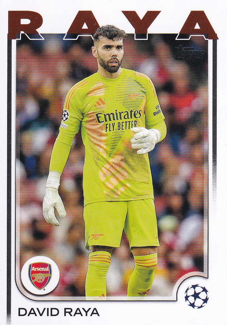 154. DAVID RAYA - ARSENAL