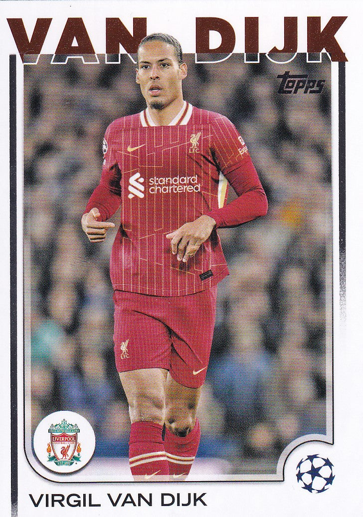 044. VIRGIL VAN DIJK - LIVERPOOL