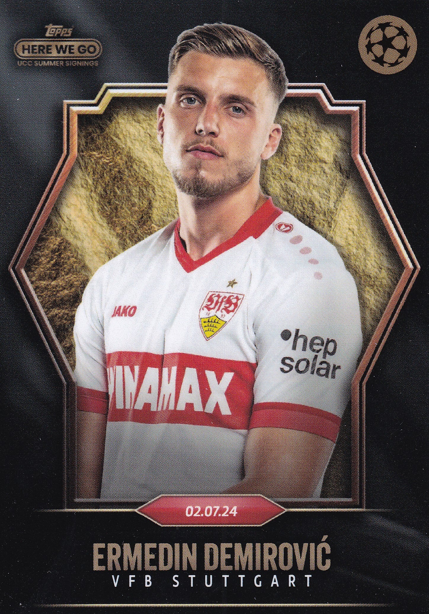 ERMEDIN DEMIROVIC - VFB STUTTGART