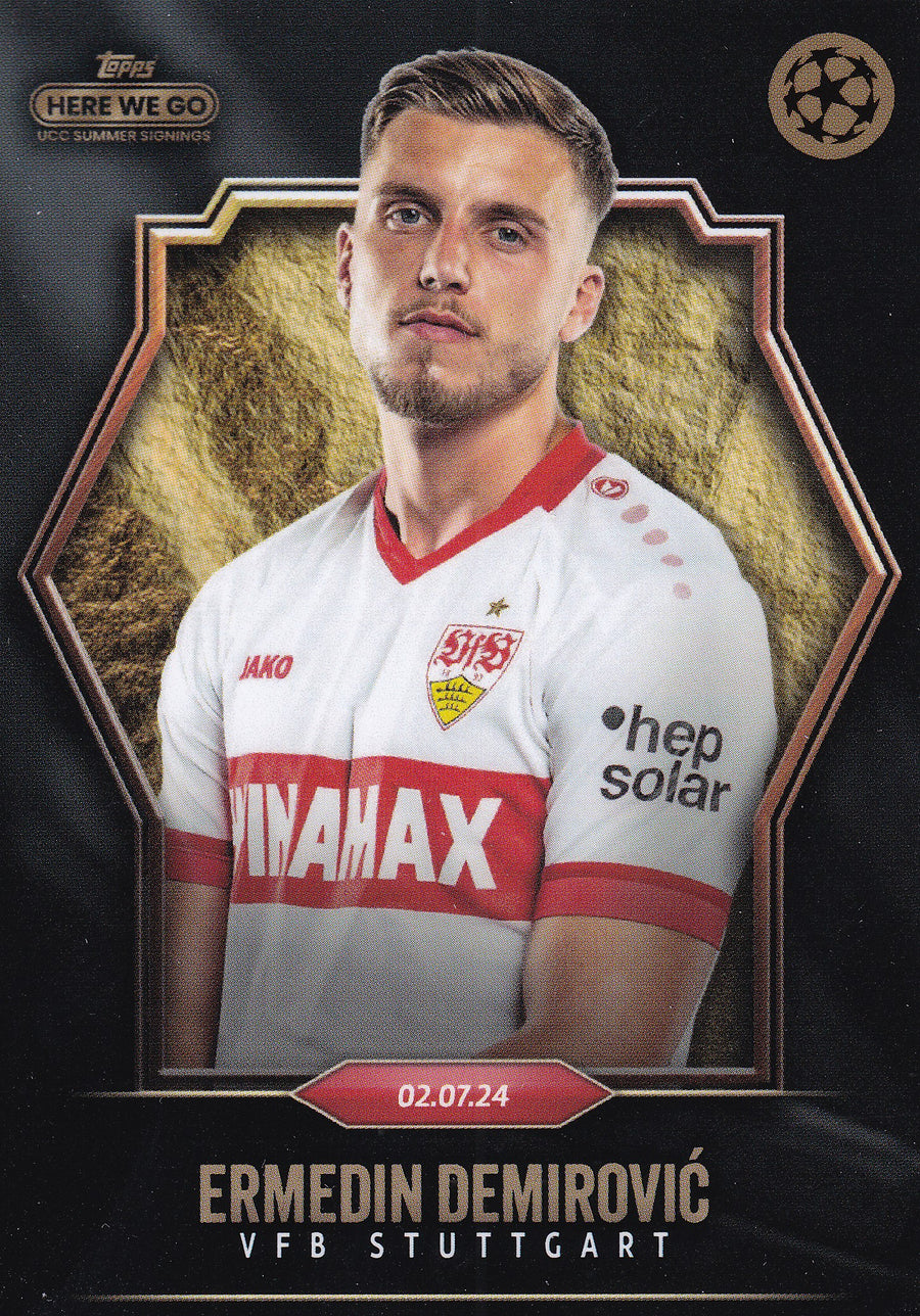 ERMEDIN DEMIROVIC - VFB STUTTGART