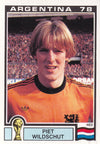 117. PIET WILDSCHUT - NEDERLAND