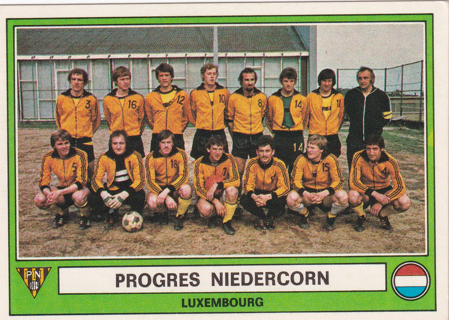 169. PROGRES NIEDERCORN - TEAM PHOTO