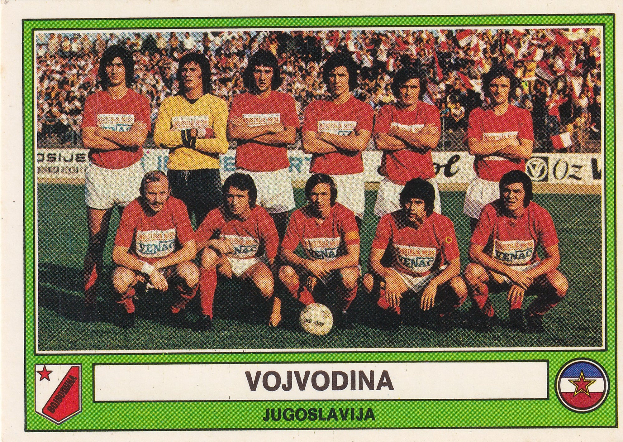 161. VOJVODINA - TEAM PHOTO