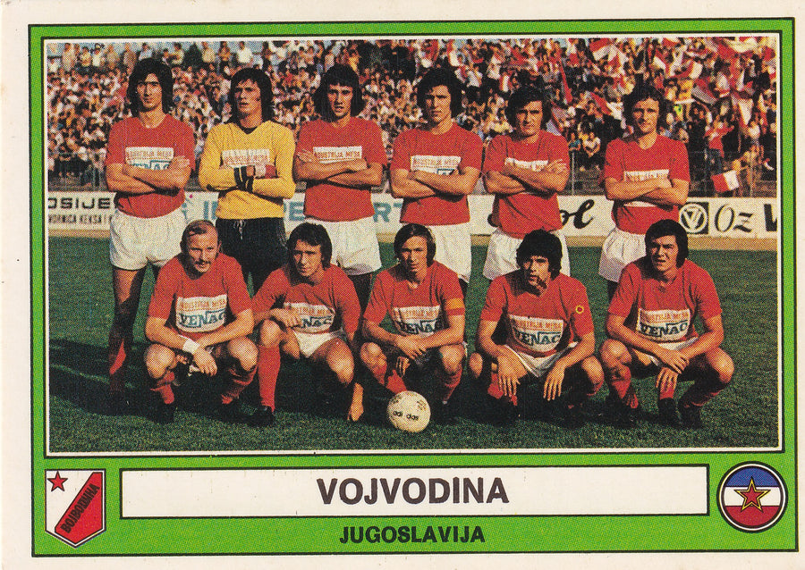 161. VOJVODINA - TEAM PHOTO