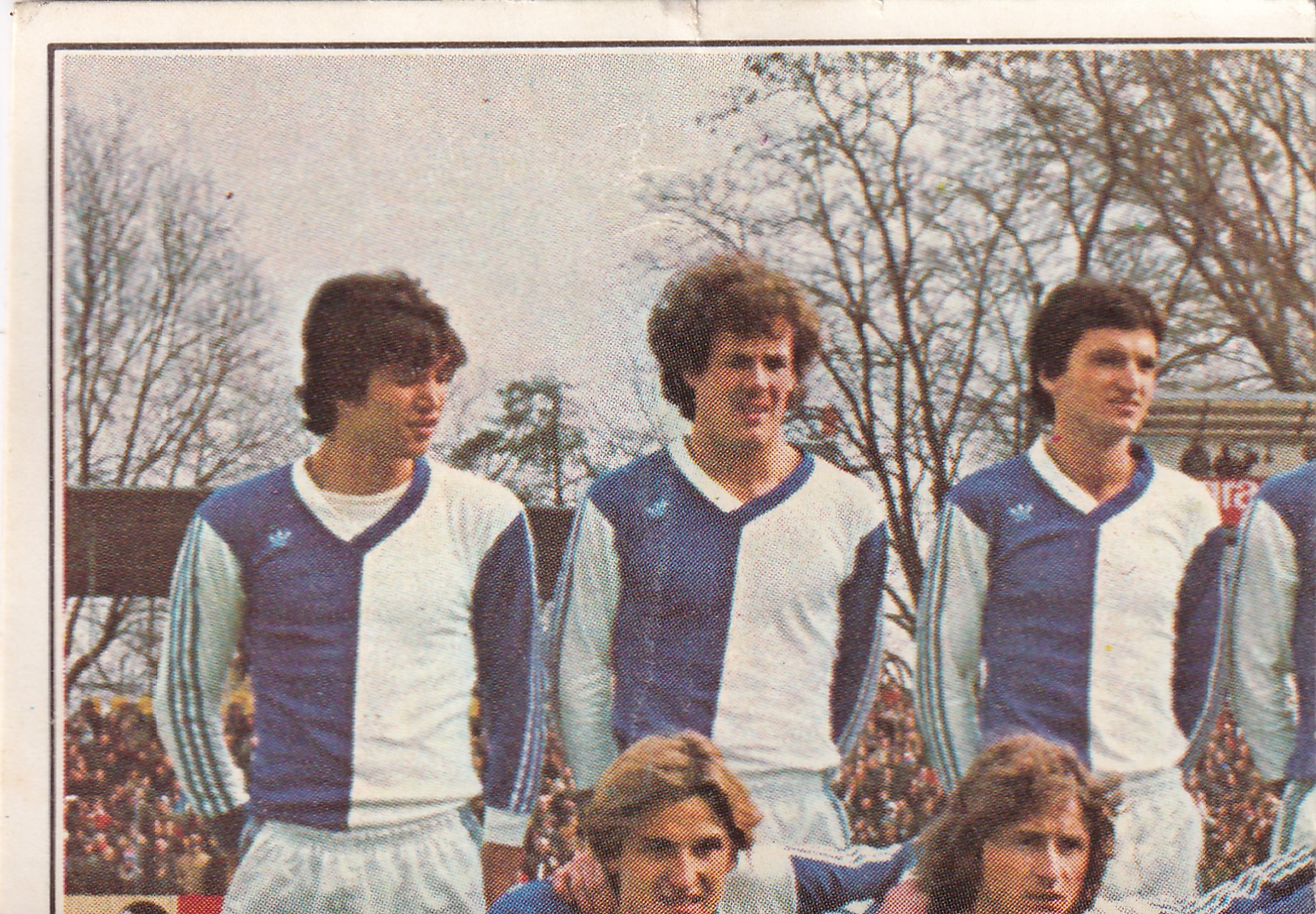 051. GRASSHOPPERS - TEAM PHOTO 1/4