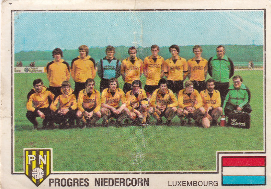 062. PROGRES NIEDERCORN - TEAM PHOTO