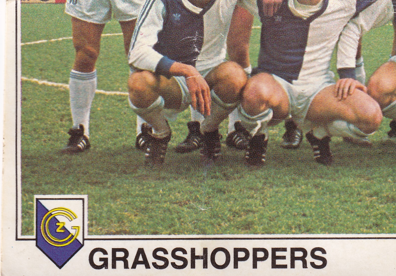 053. GRASSHOPPERS - TEAM PHOTO 3/4