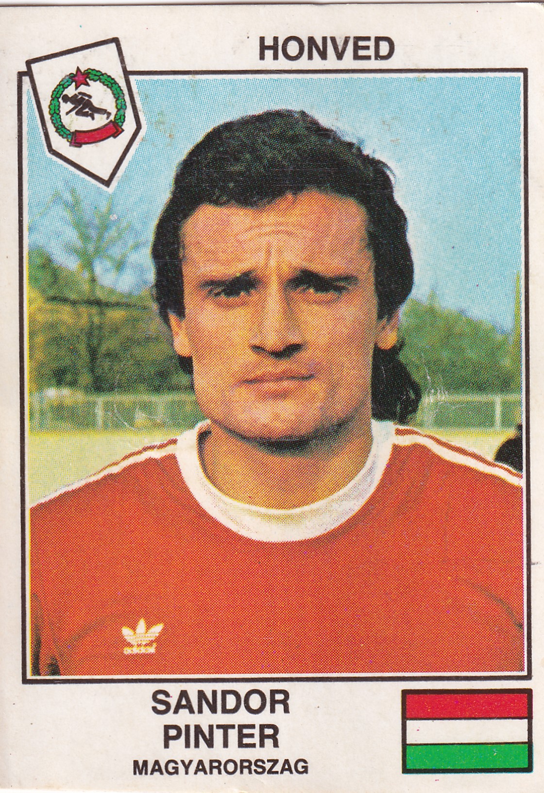 389. SANDOR PINTER - HONVED