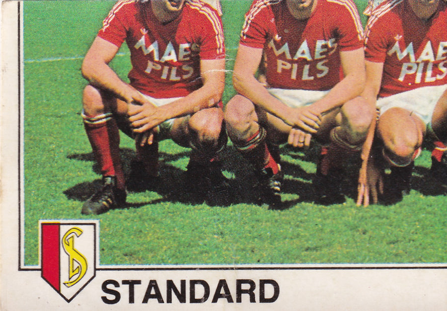 265. STANDARD - TEAM PHOTO 3/4