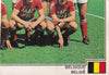 266. STANDARD - TEAM PHOTO 4/4