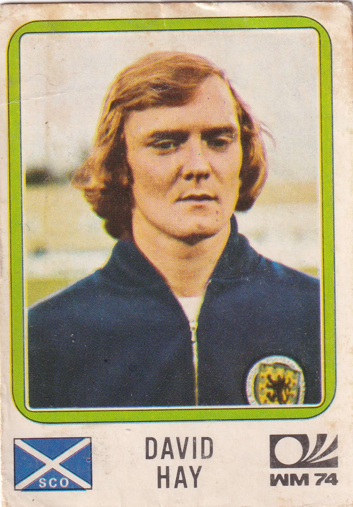 207. DAVID HAY - SCOTLAND