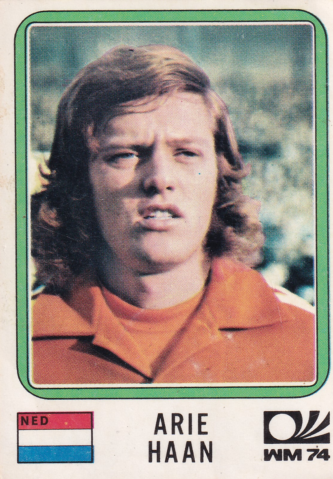 242. ARIE HAAN - NEDERLAND