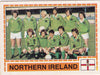 223. NORTHERN IRELAND - TEAM PHOTO
