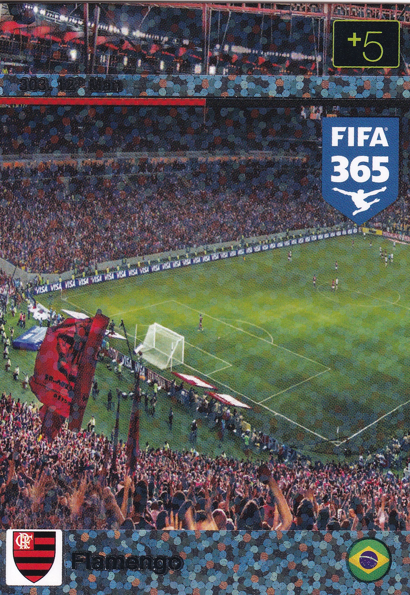 303. FLAMENGO - 12th MAN
