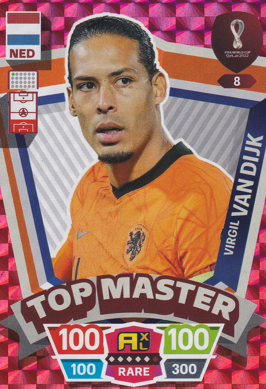 008. VIRGIL VAN DIJK - NEDERLAND - TOP MASTER