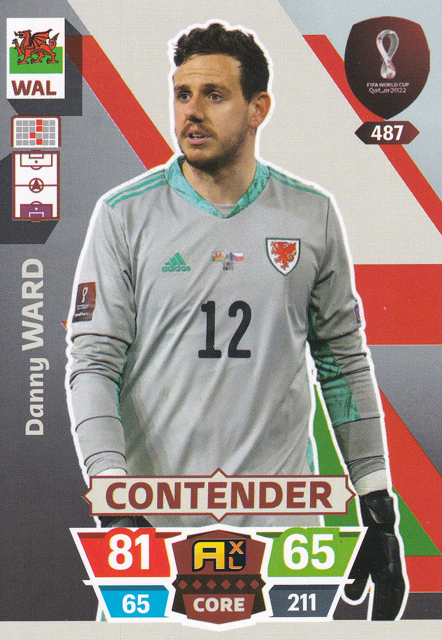 487. DANNY WARD - WALES