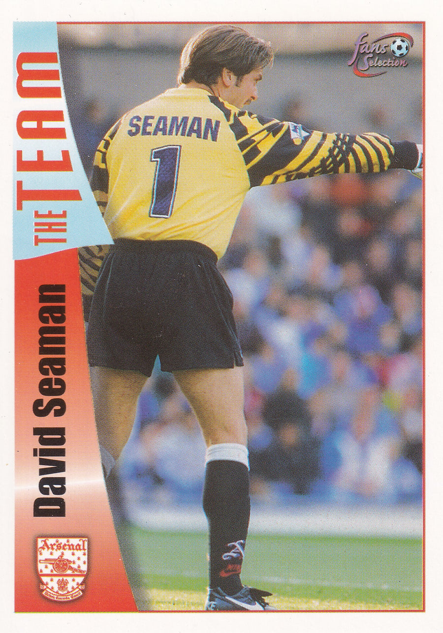 010. DAVID SEAMAN - THE TEAM - ARSENAL