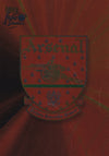 148. ARSENAL - TEAM BADGE - CHROME