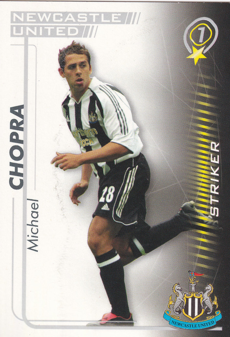 246. MICHAEL CHOPRA - NEWCASTLE UNITED