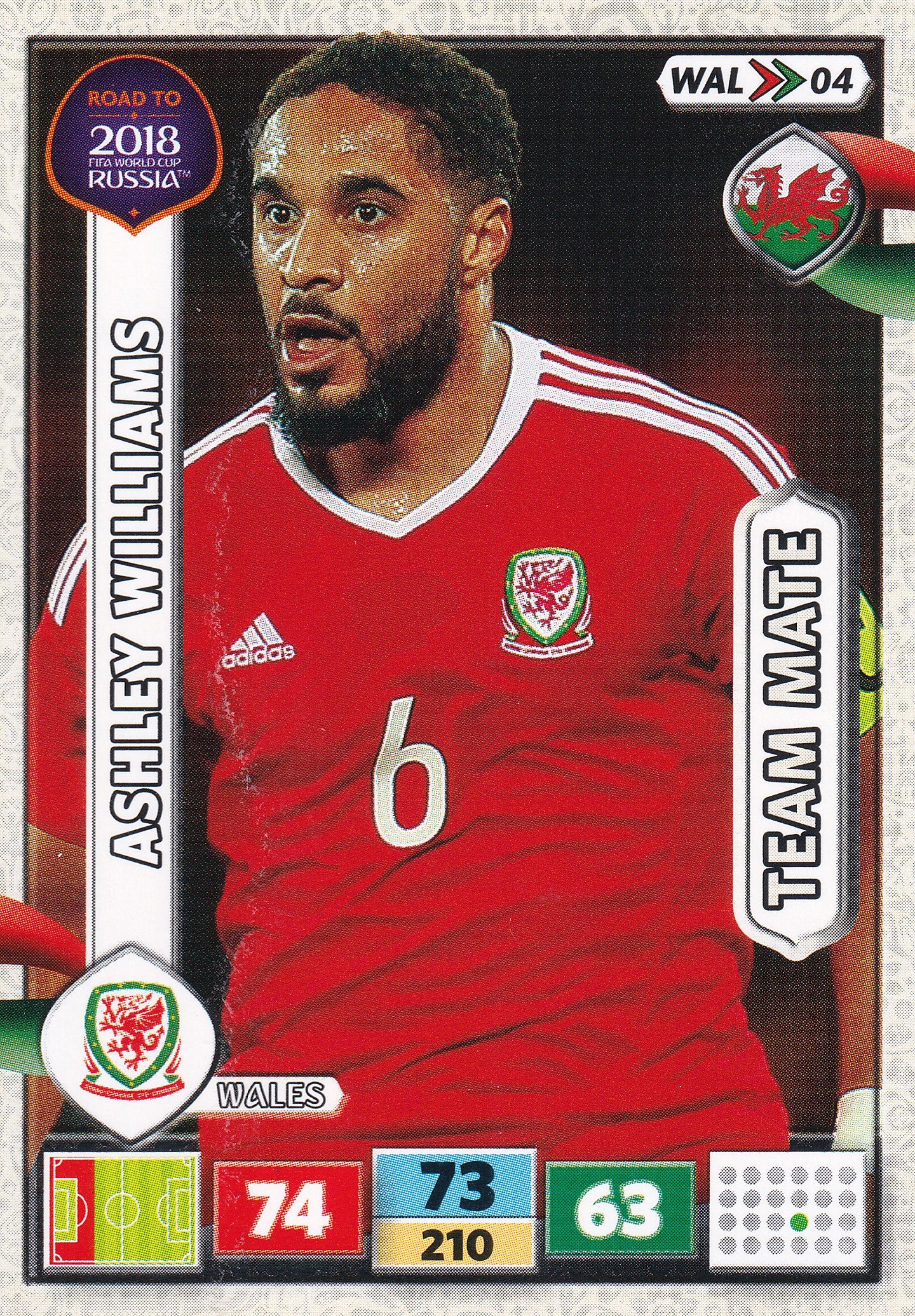WAL-04. ASHLEY WILLIAMS - WALES