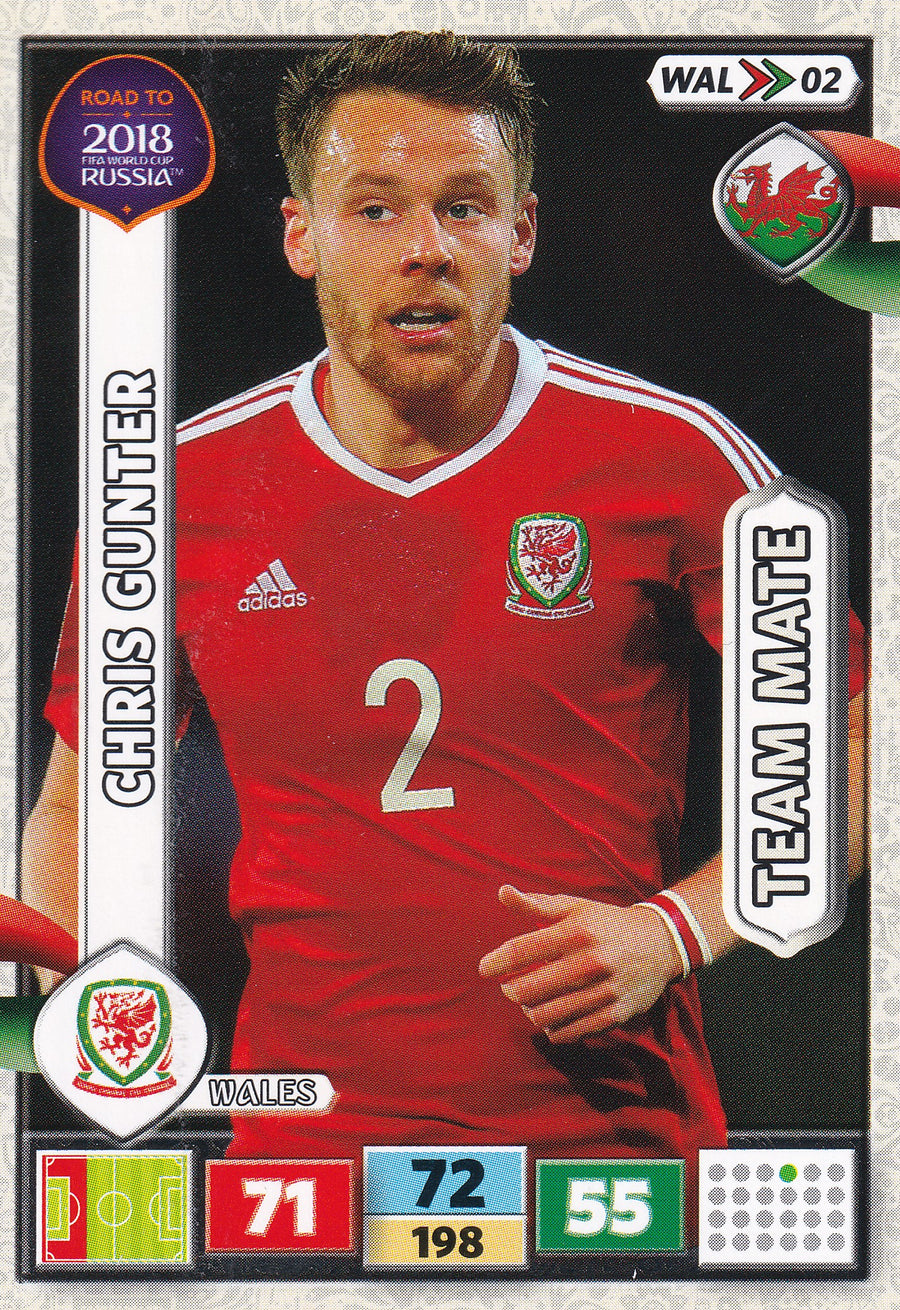 WAL-02. CHRIS GUNTER - WALES