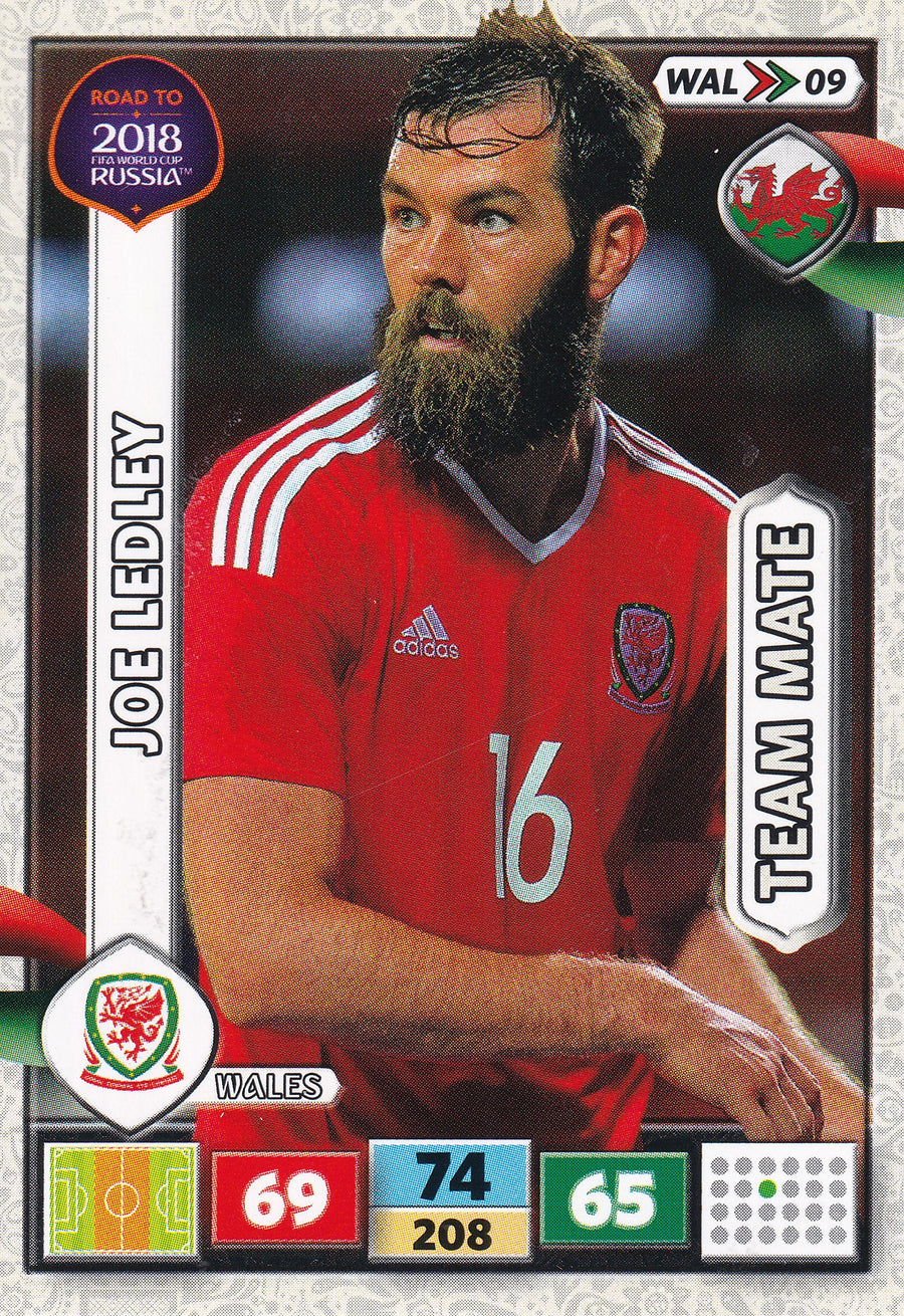 WAL-09. JOE LEDLEY - WALES