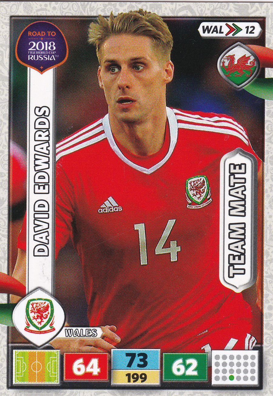 WAL-12. DAVID EDWARDS - WALES