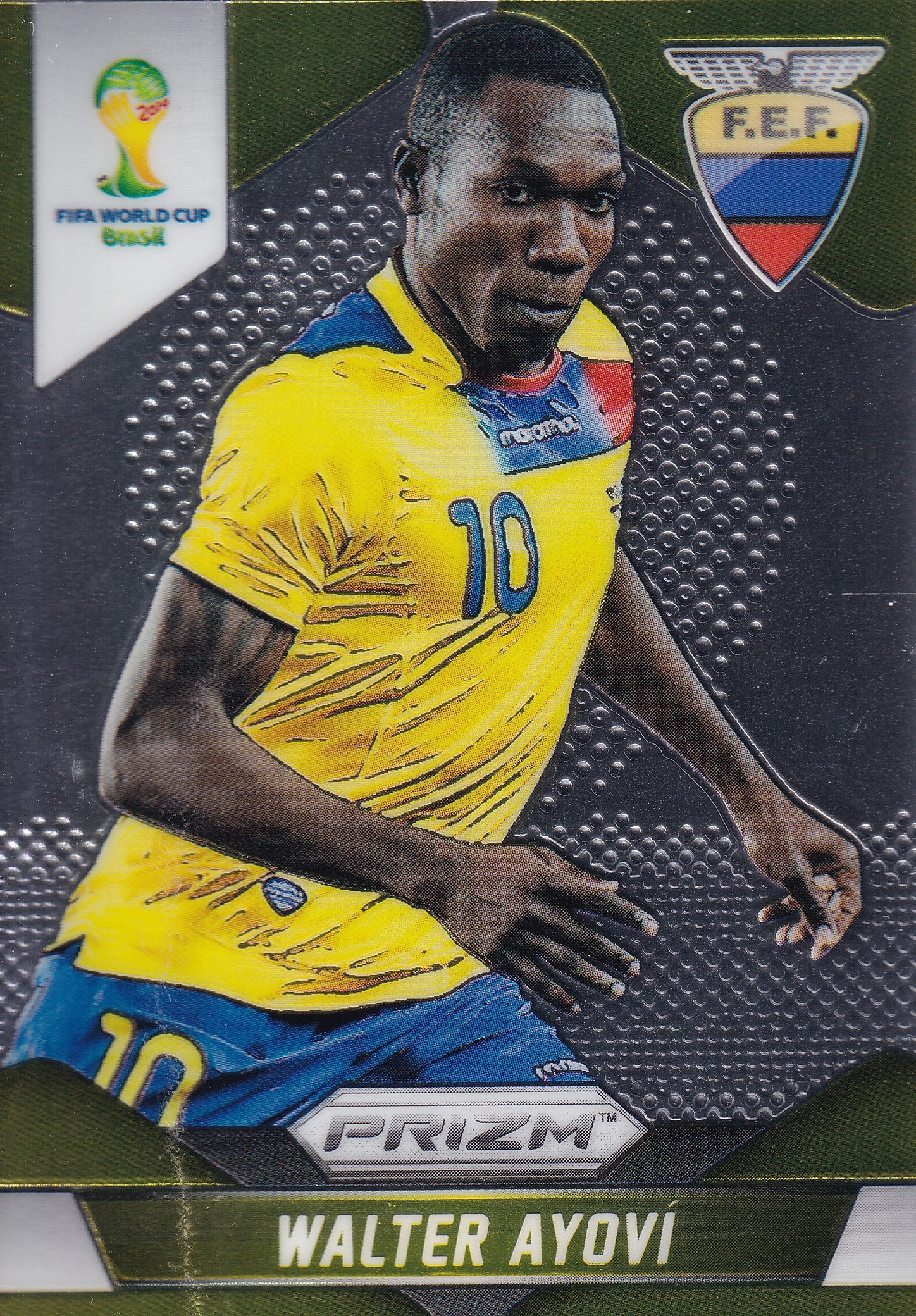 065. WALTER AYOVI - ECUADOR