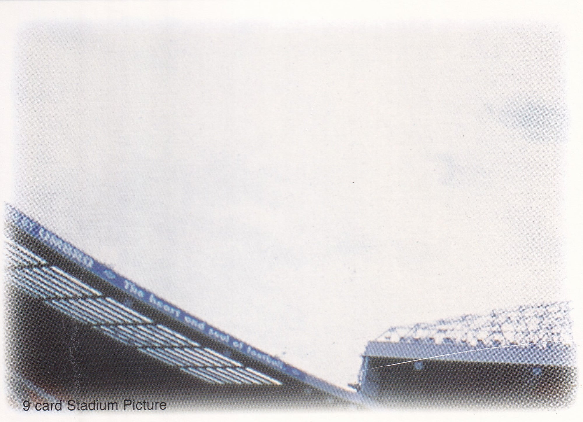 089. 9 CARD STADIUM PICTURE