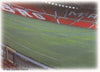 090. 9 CARD STADIUM PICTURE