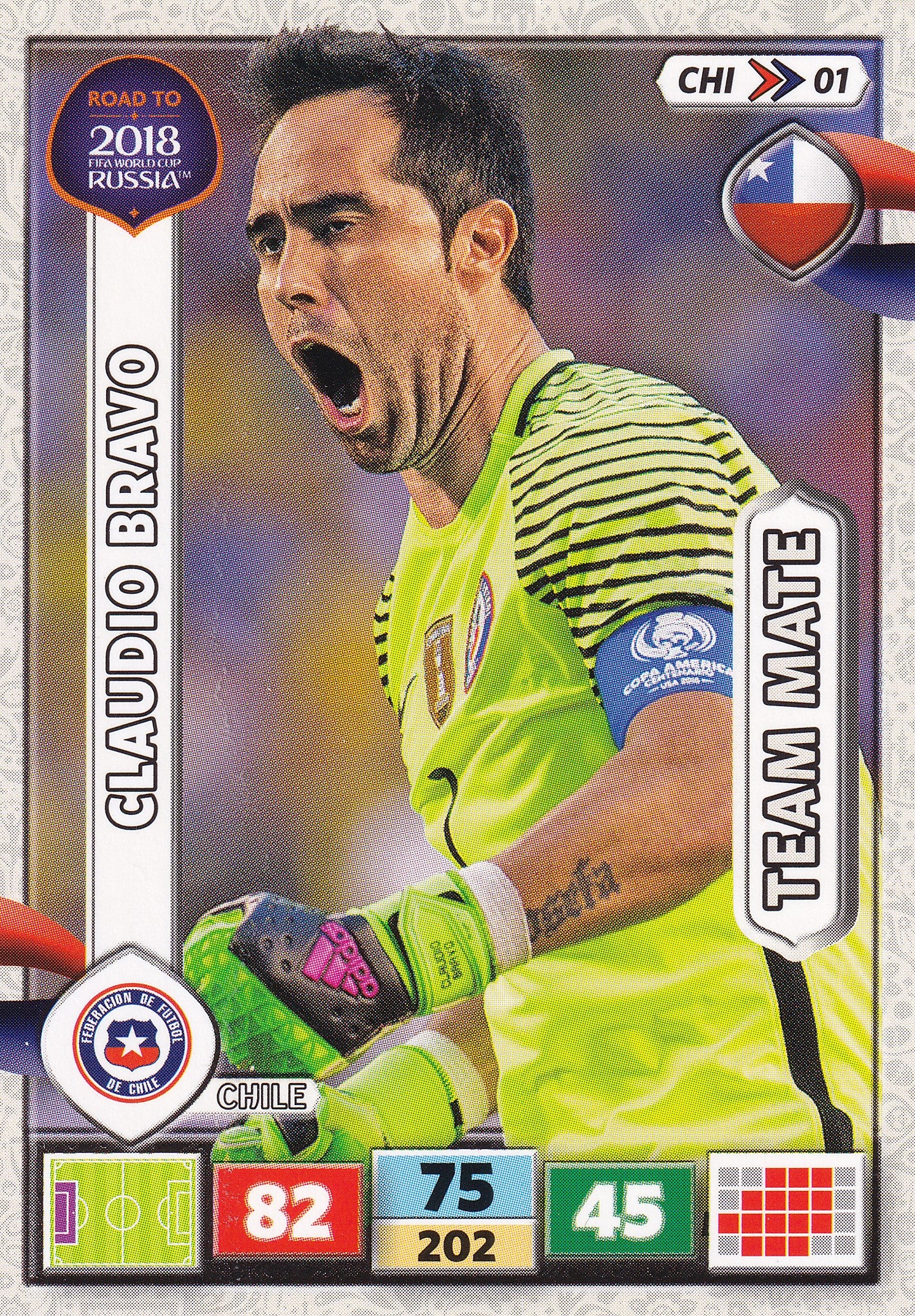 CHI-01. CLAUDIO BRAVO - CHILE