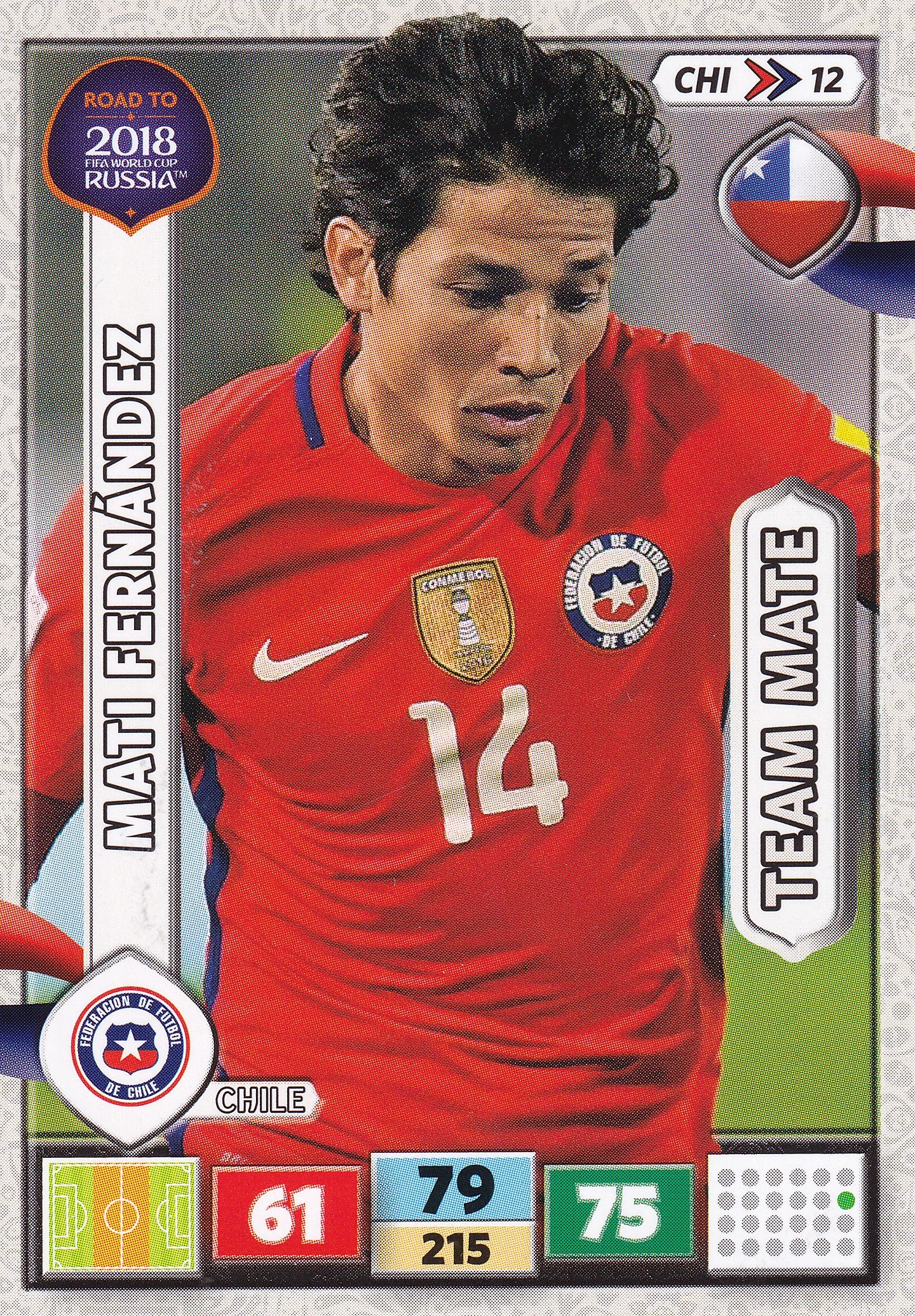 CHI-12. MATI FERNÁNDEZ - CHILE