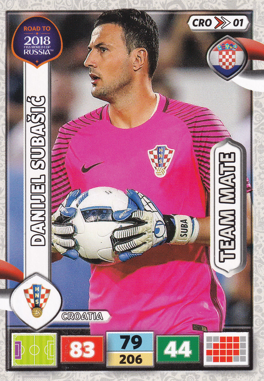 CRO-01. DANIJEL SUBASIC - CROATIA